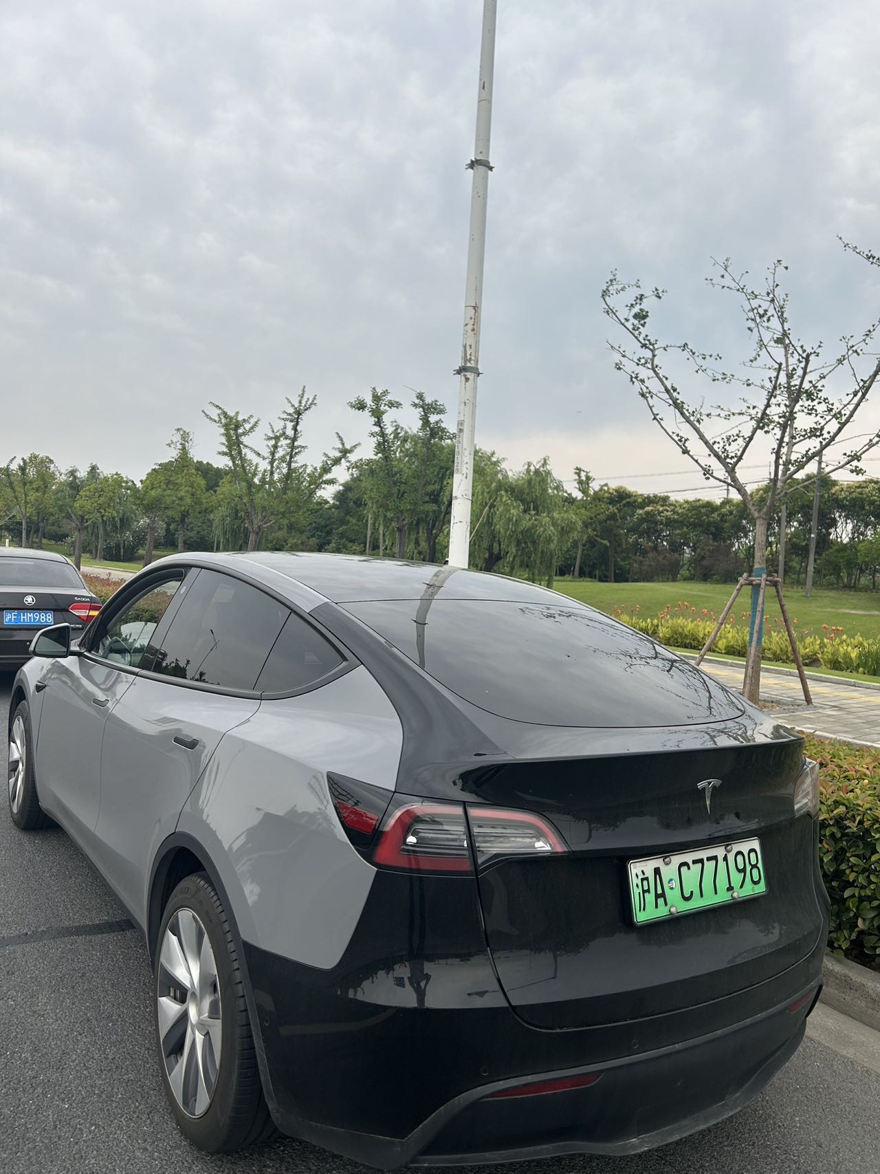 Tesla Model Y 2023 car image #4