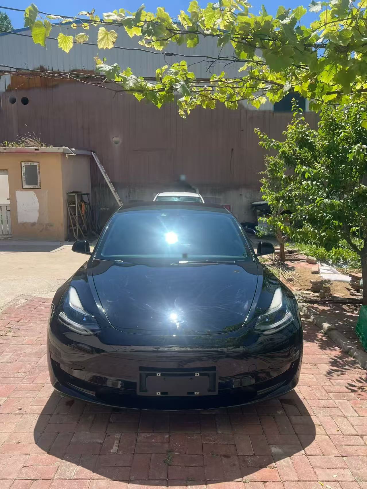 Tesla Model 3 2022 car image #4