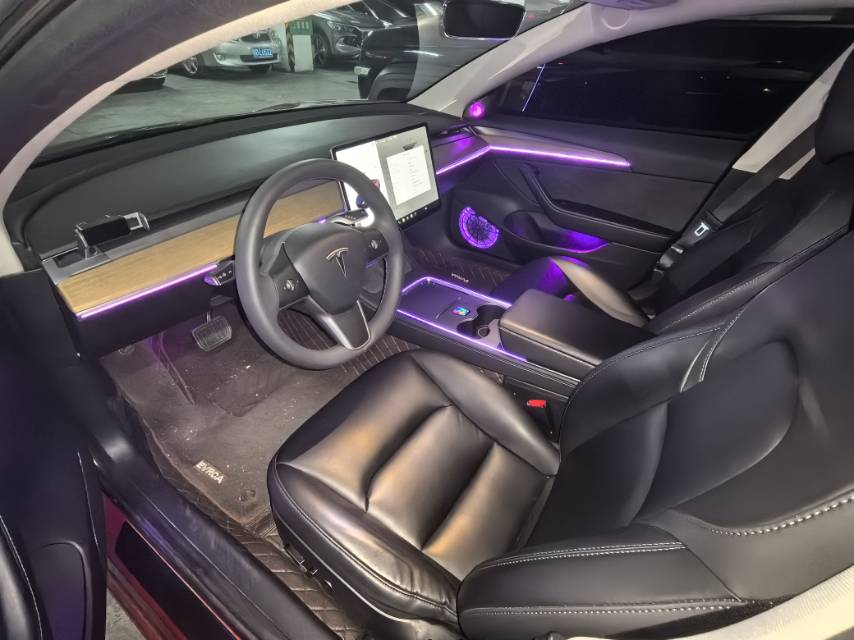 Tesla Model 3 2021 #5 Tesla Model 3 2021 car image #5