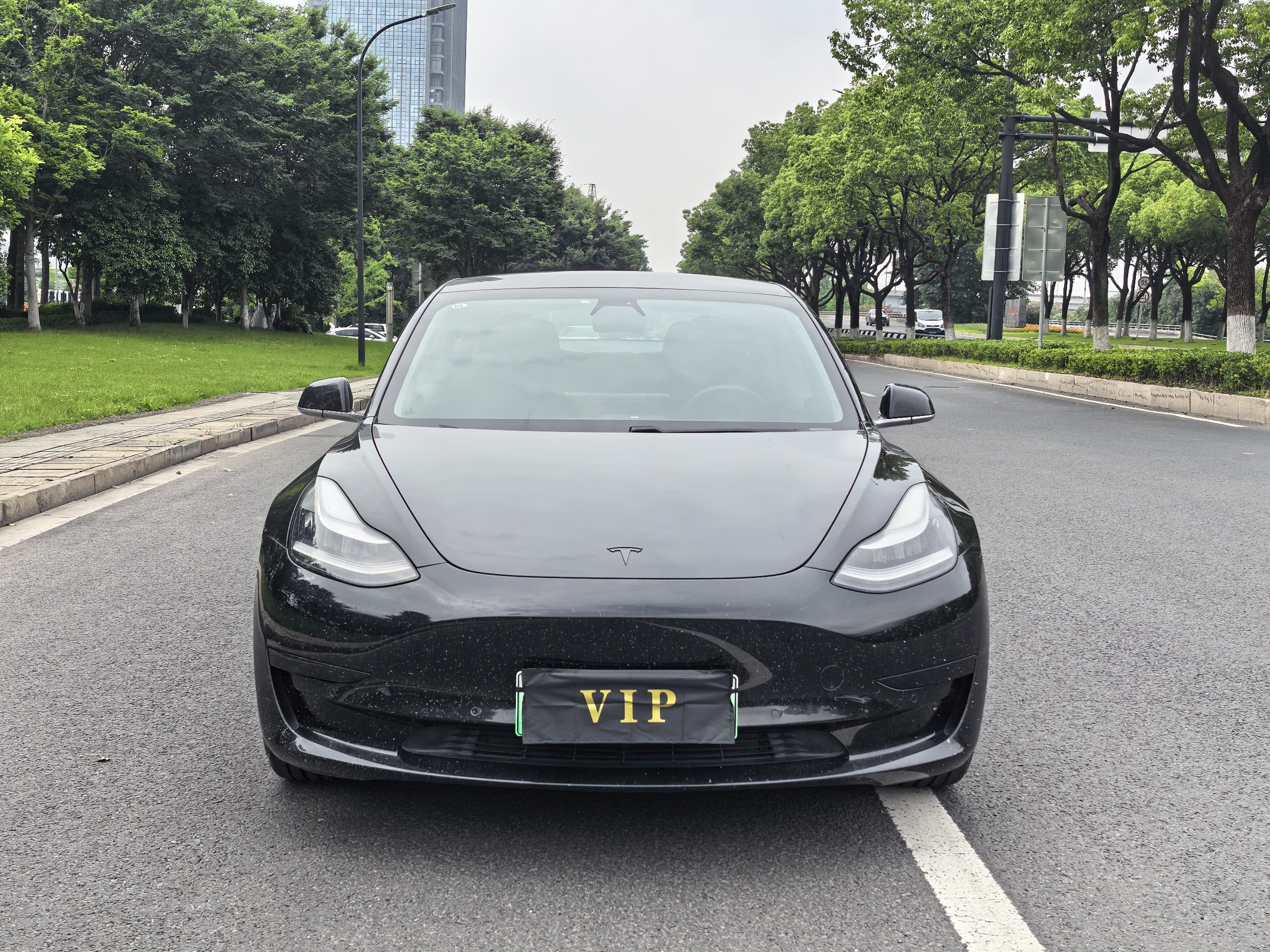 Tesla Model 3 2020 #3 Tesla Model 3 2020 car image #3