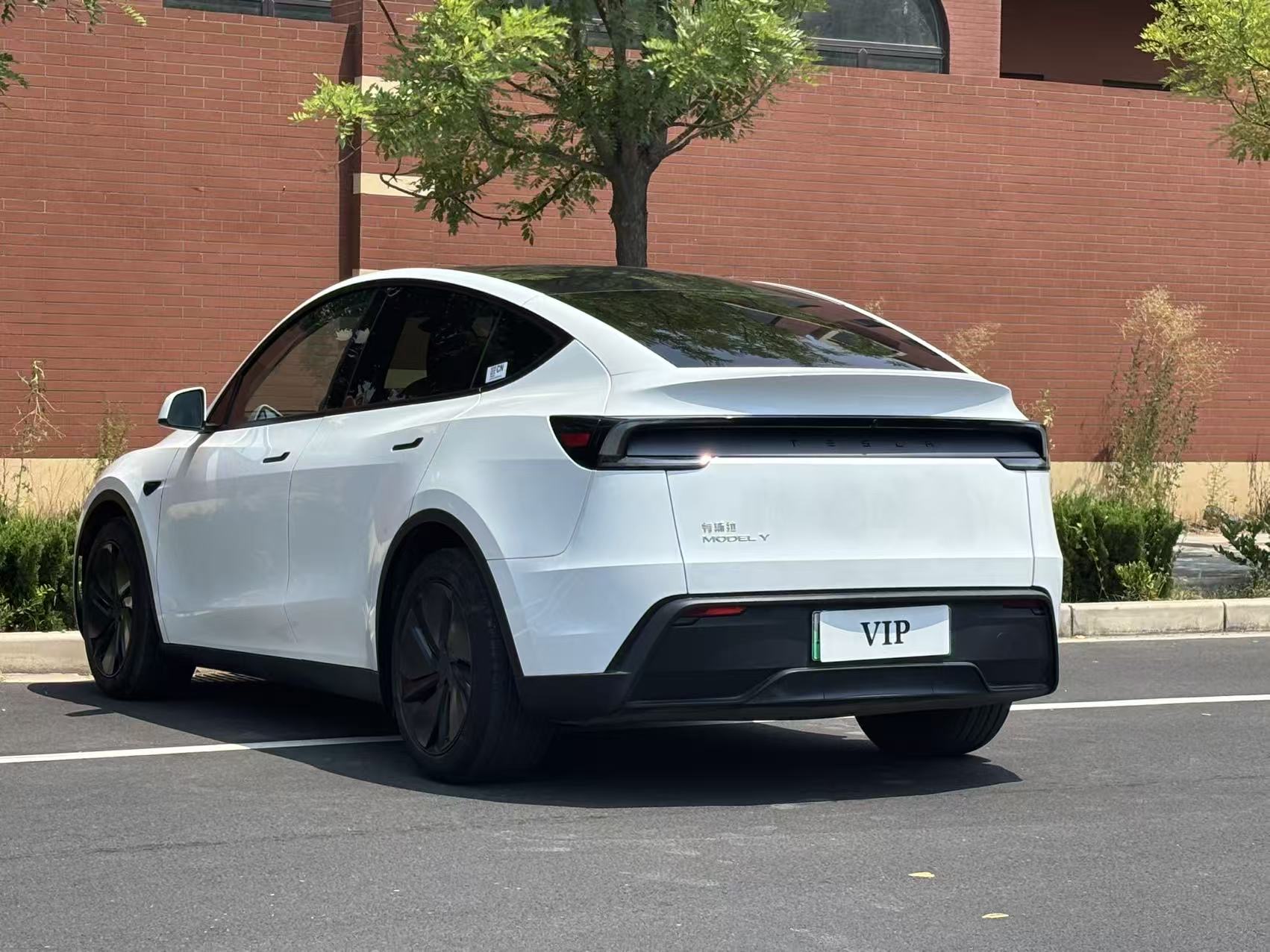 Tesla Model Y 2025 car image #11