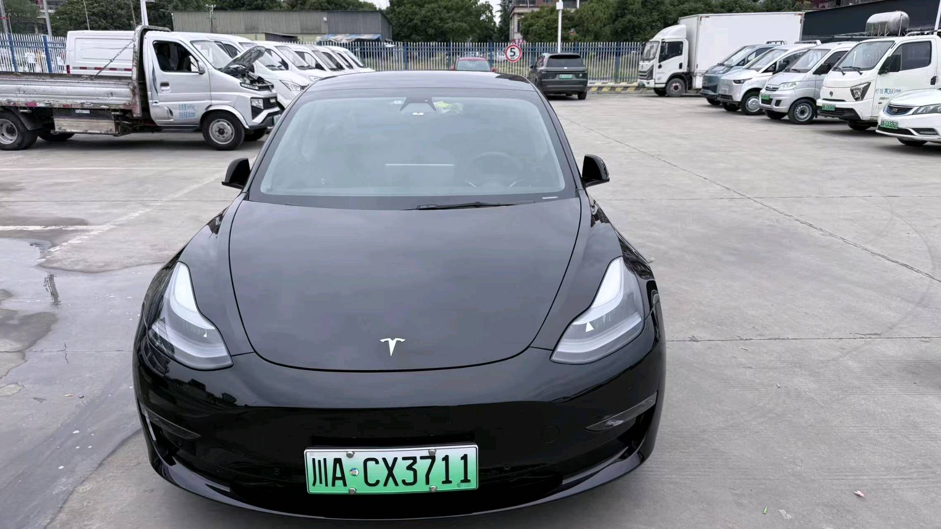 Tesla Model 3 2021 car image #4