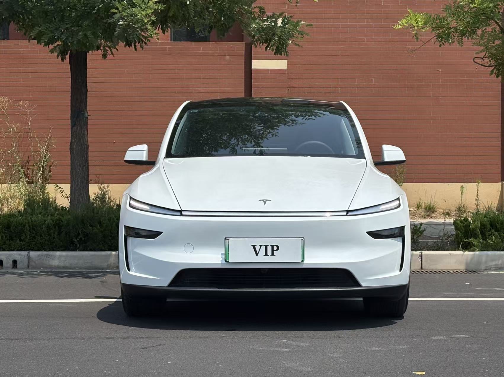 Tesla Model Y 2025 car image #4