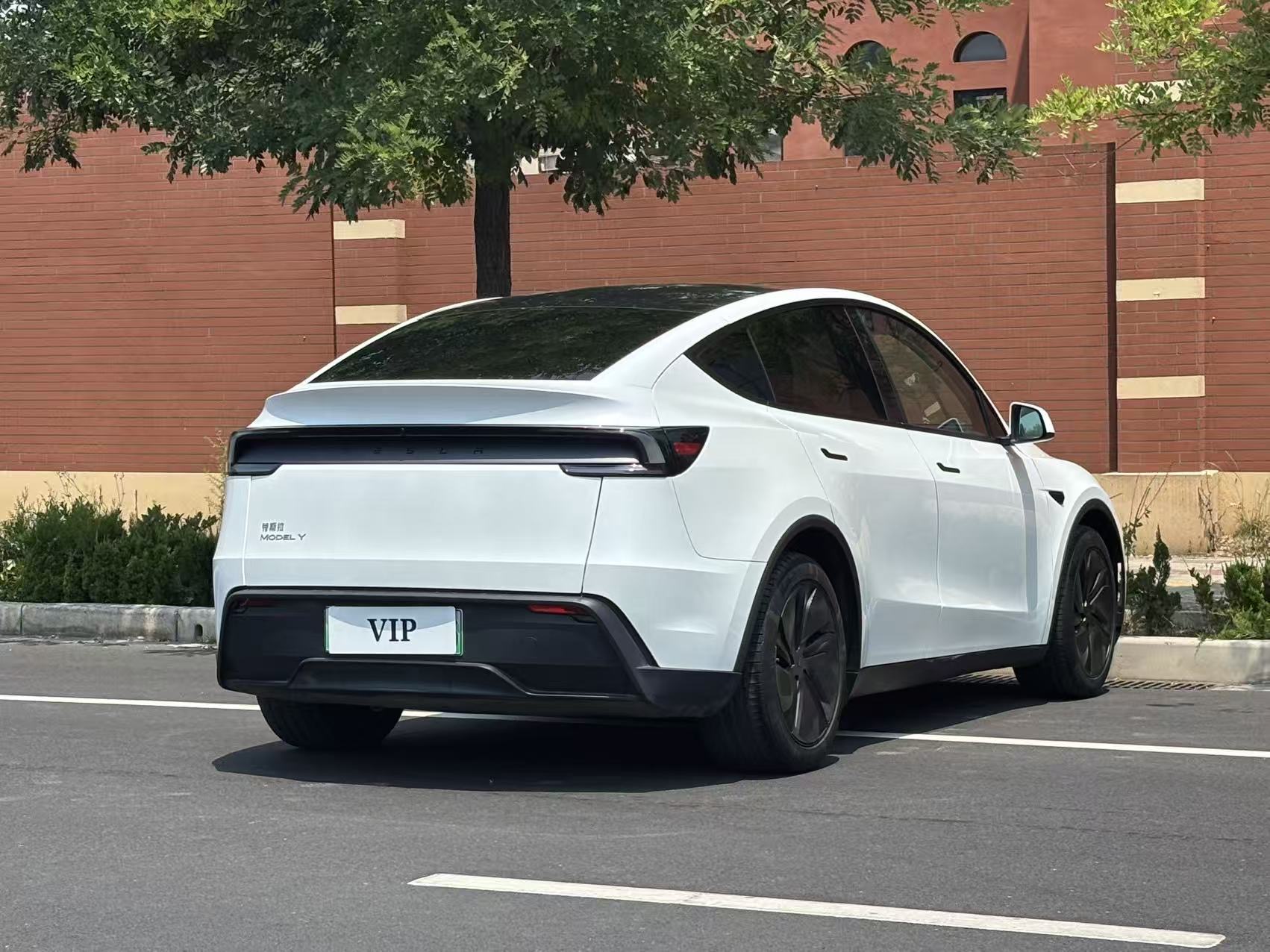 Tesla Model Y 2025 car image #10