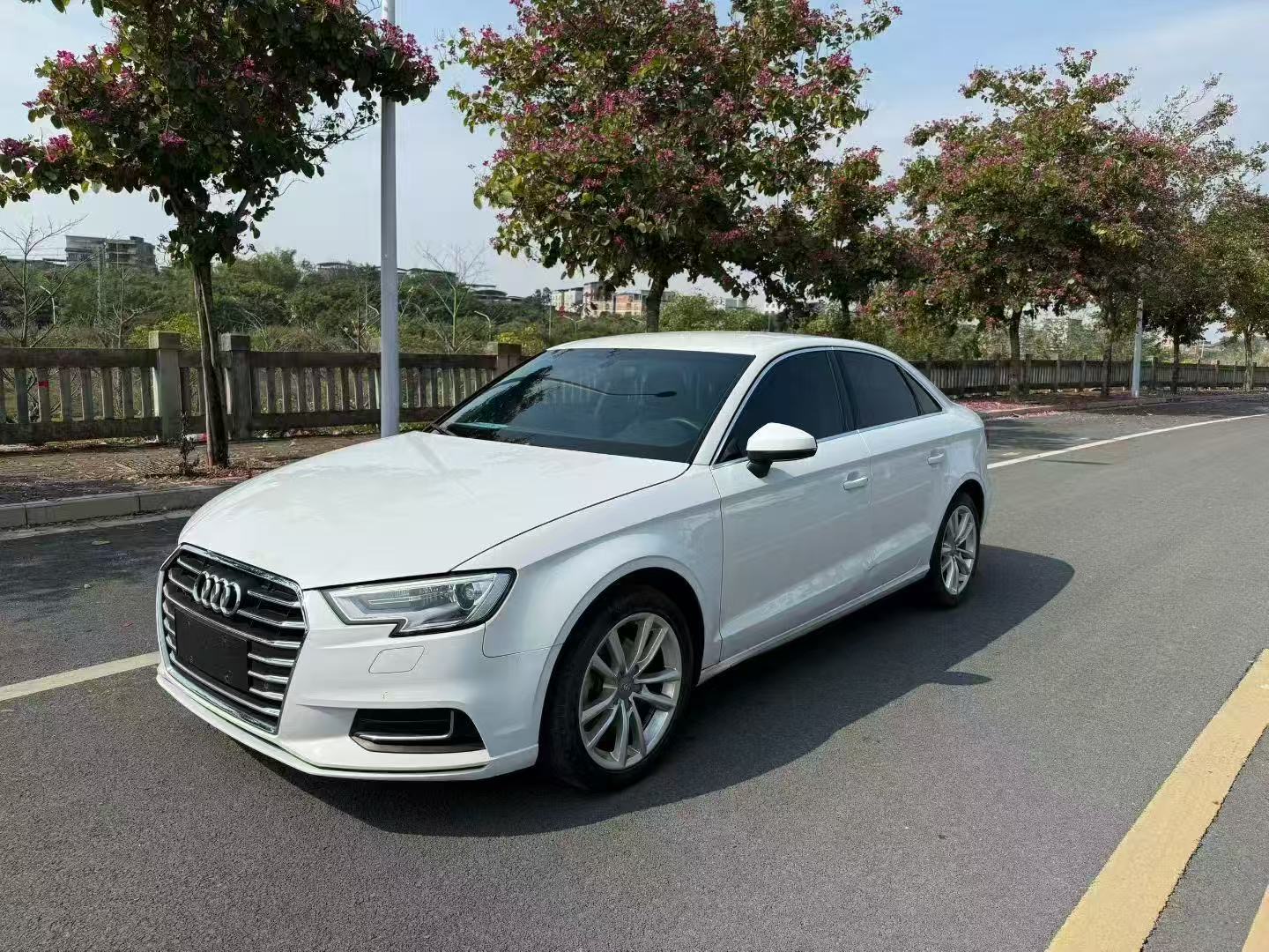 Audi A3 2019 car image #2