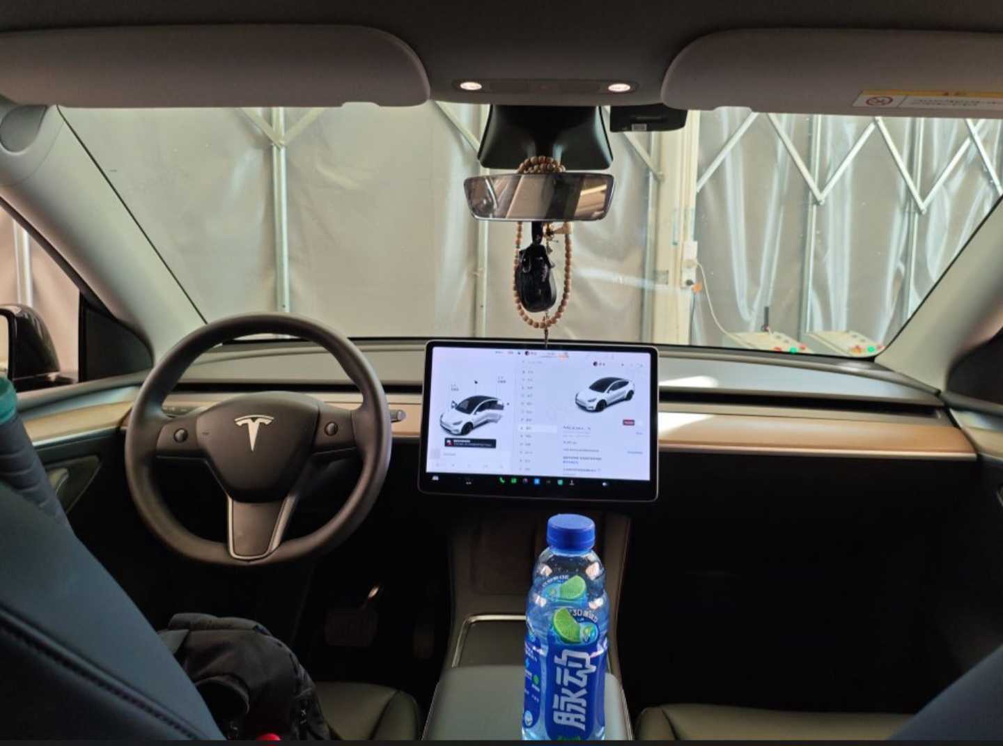 Tesla Model Y 2021 car image #6