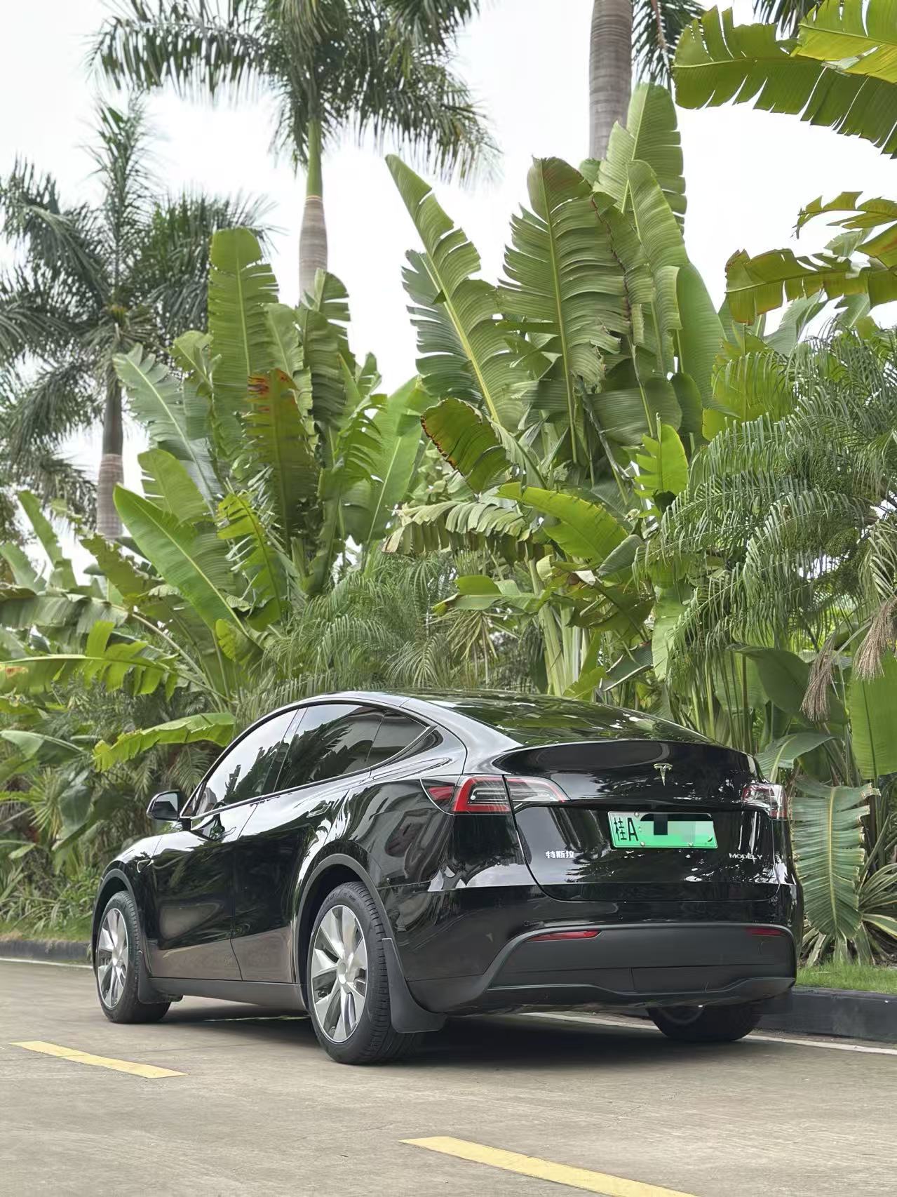 Tesla Model Y 2022 #10 Tesla Model Y 2022 car image #10