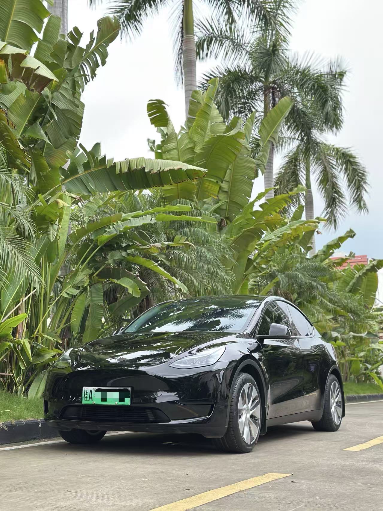 Tesla Model Y 2022 #8 Tesla Model Y 2022 car image #8
