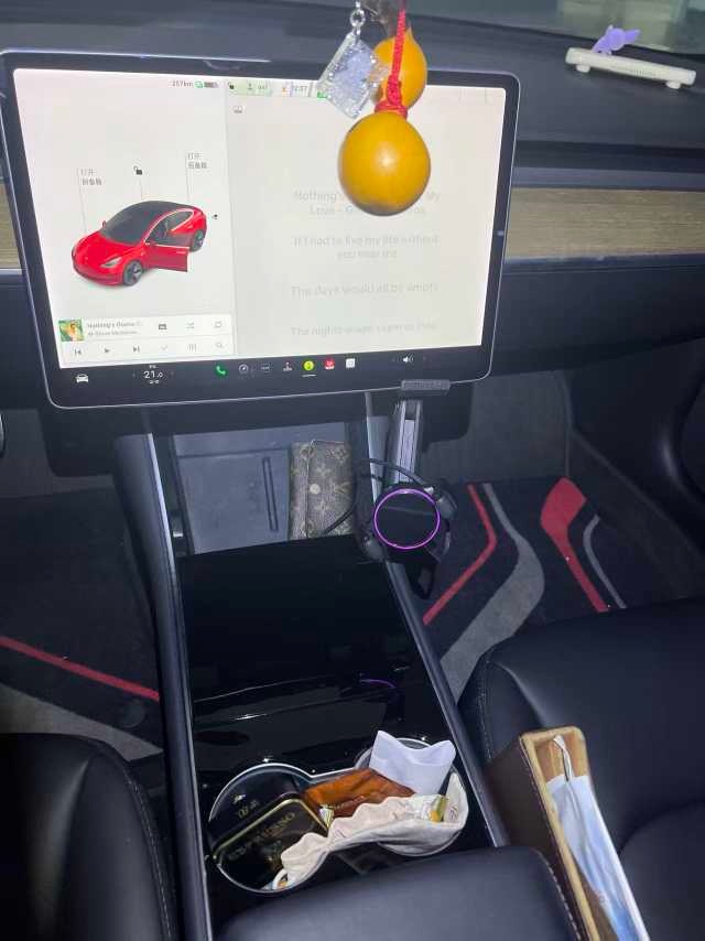 Tesla Model 3 2020 car image #4