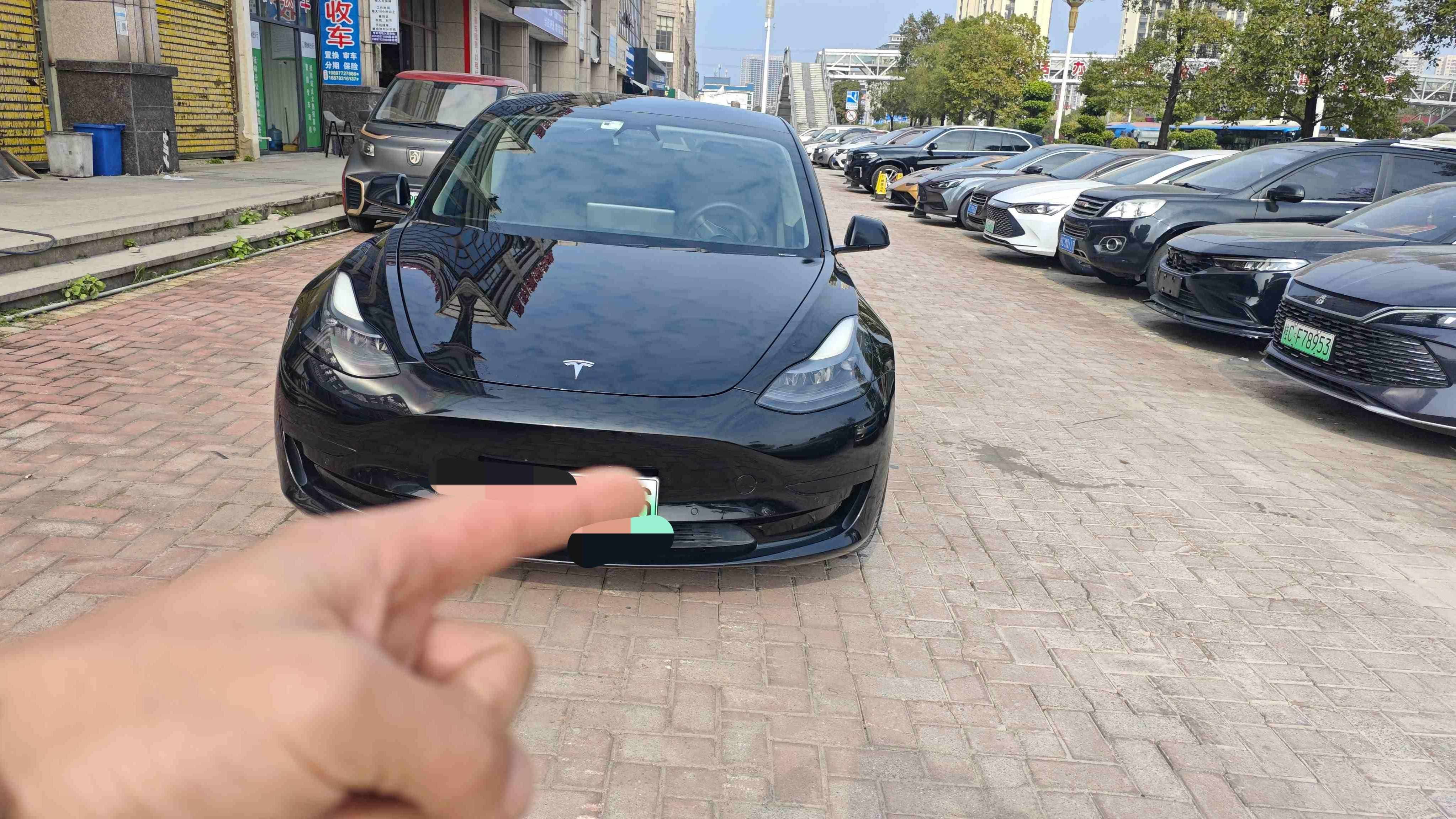 Tesla Model 3 2021 #3 Tesla Model 3 2021 car image #3