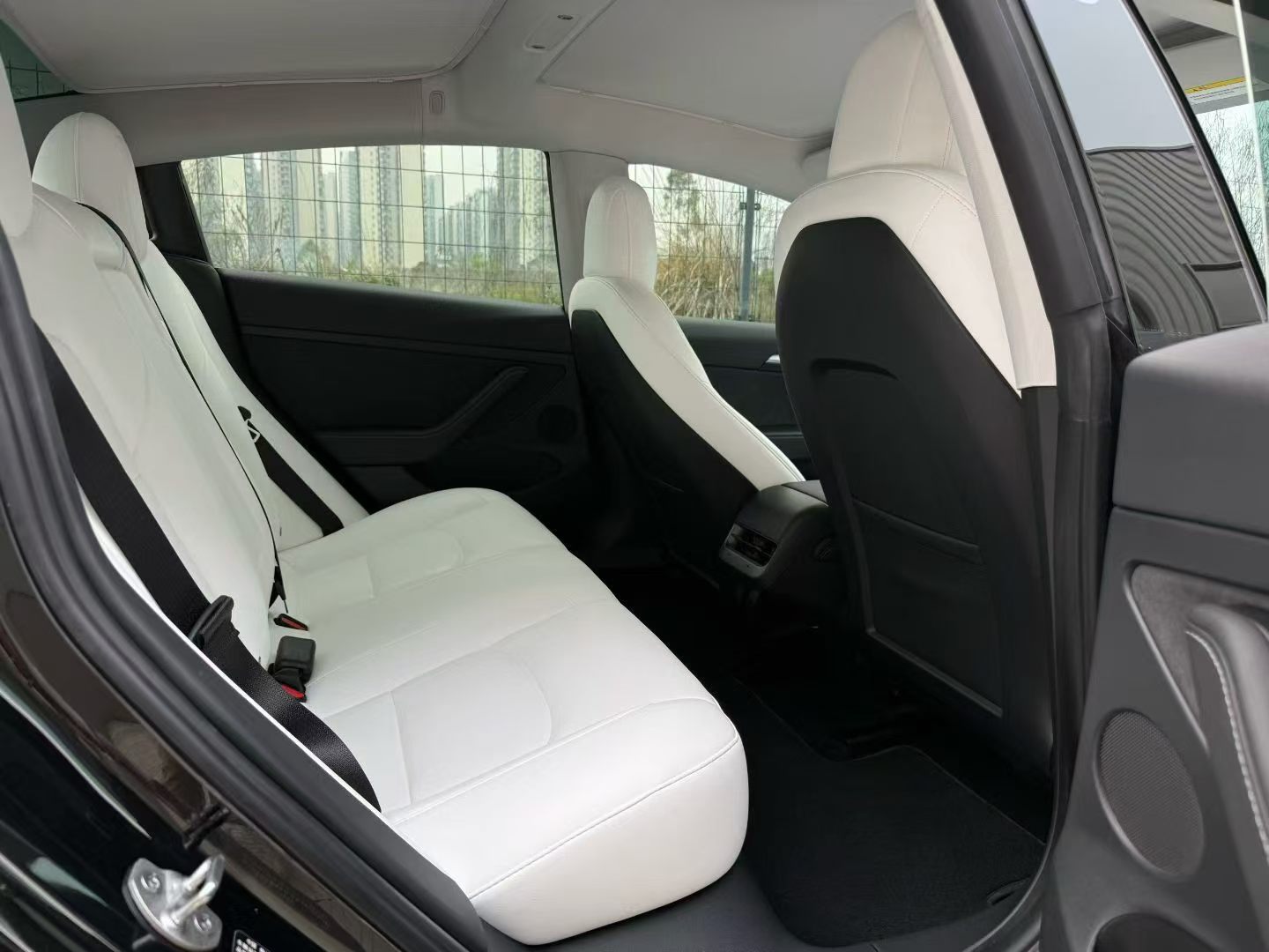 Tesla Model 3 2021 #9 Tesla Model 3 2021 car image #9