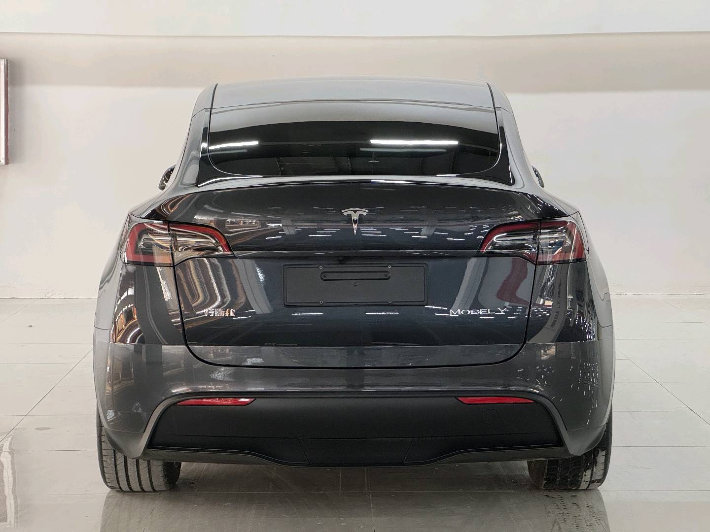 Tesla Model Y 2025 car image #10