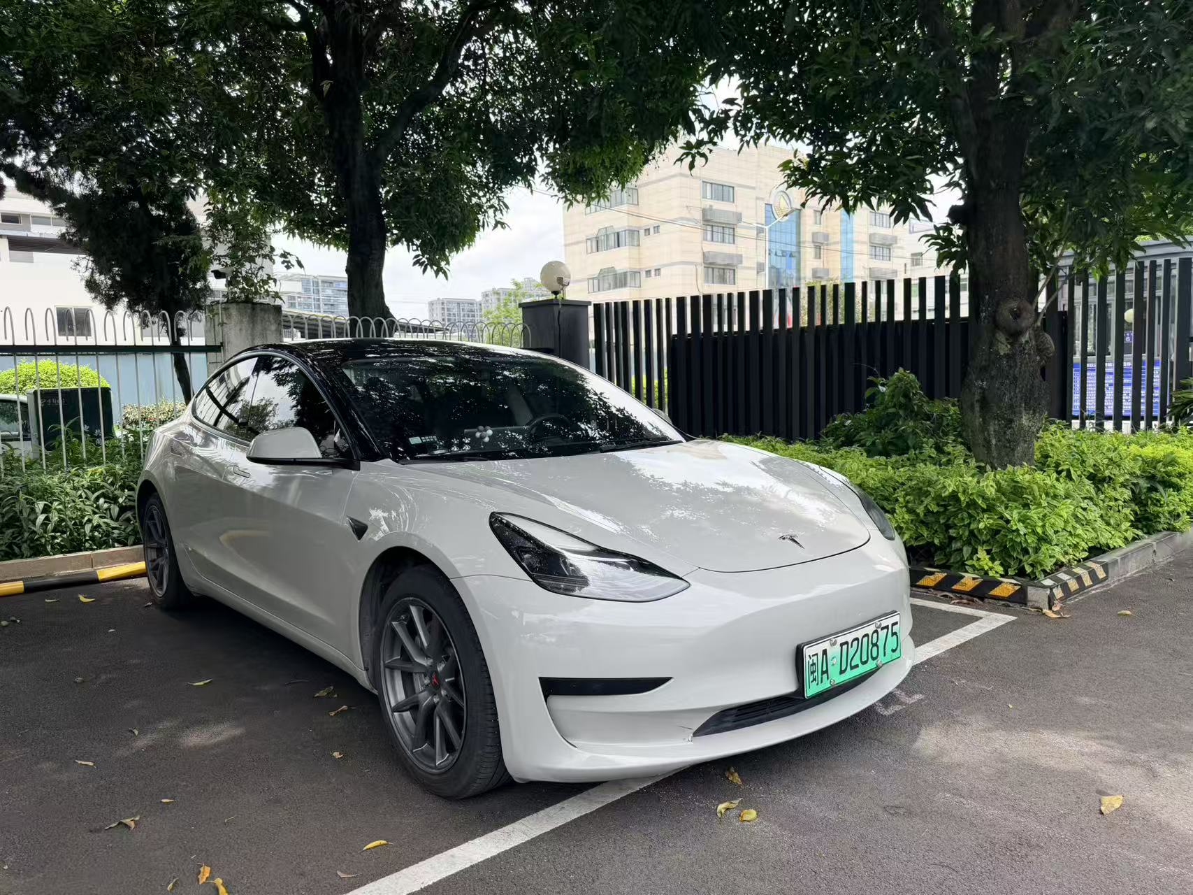 Tesla Model 3 2021 car image #4