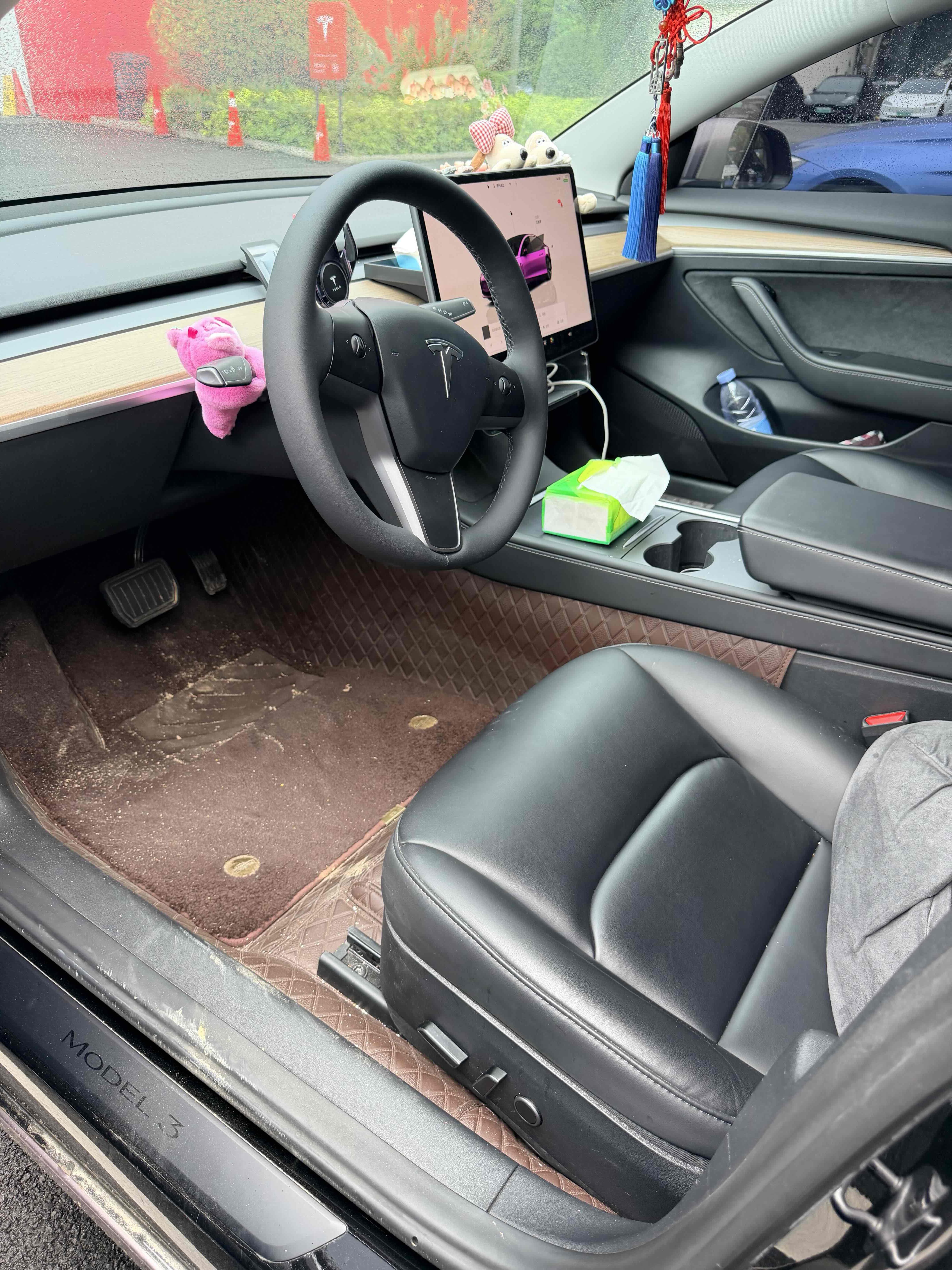 Tesla Model 3 2023 #5 Tesla Model 3 2023 car image #5
