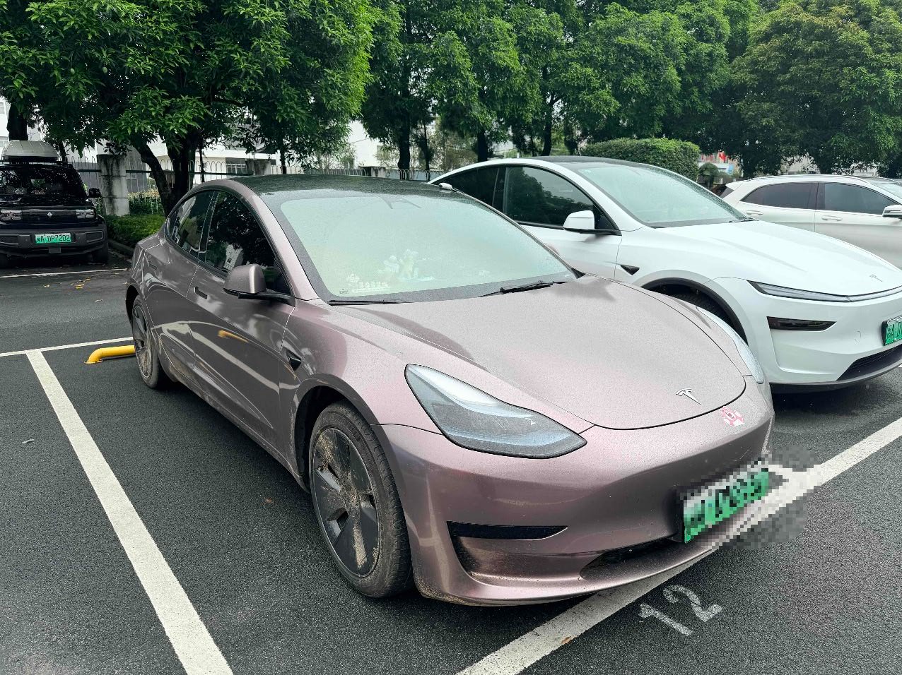 Tesla Model 3 2023 #2 Tesla Model 3 2023 car image #2
