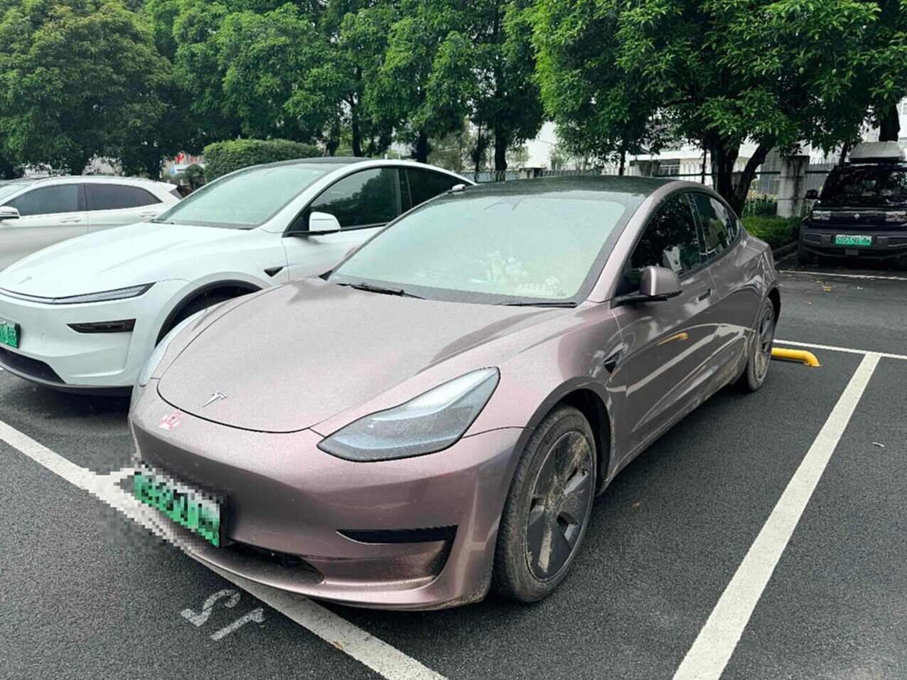 Tesla Model 3 2023 Tesla Model 3 2023 car image