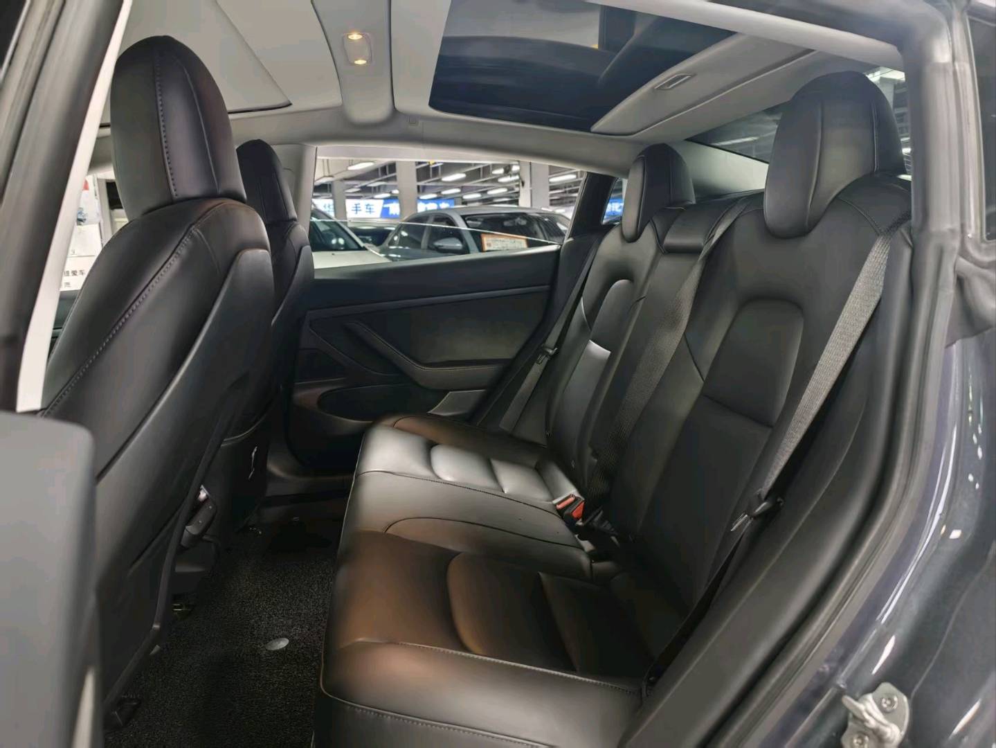 Tesla Model 3 2020 car image #12