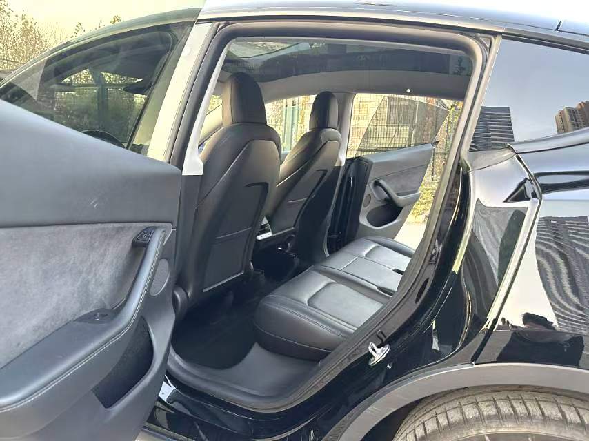Tesla Model Y 2022 car image #10