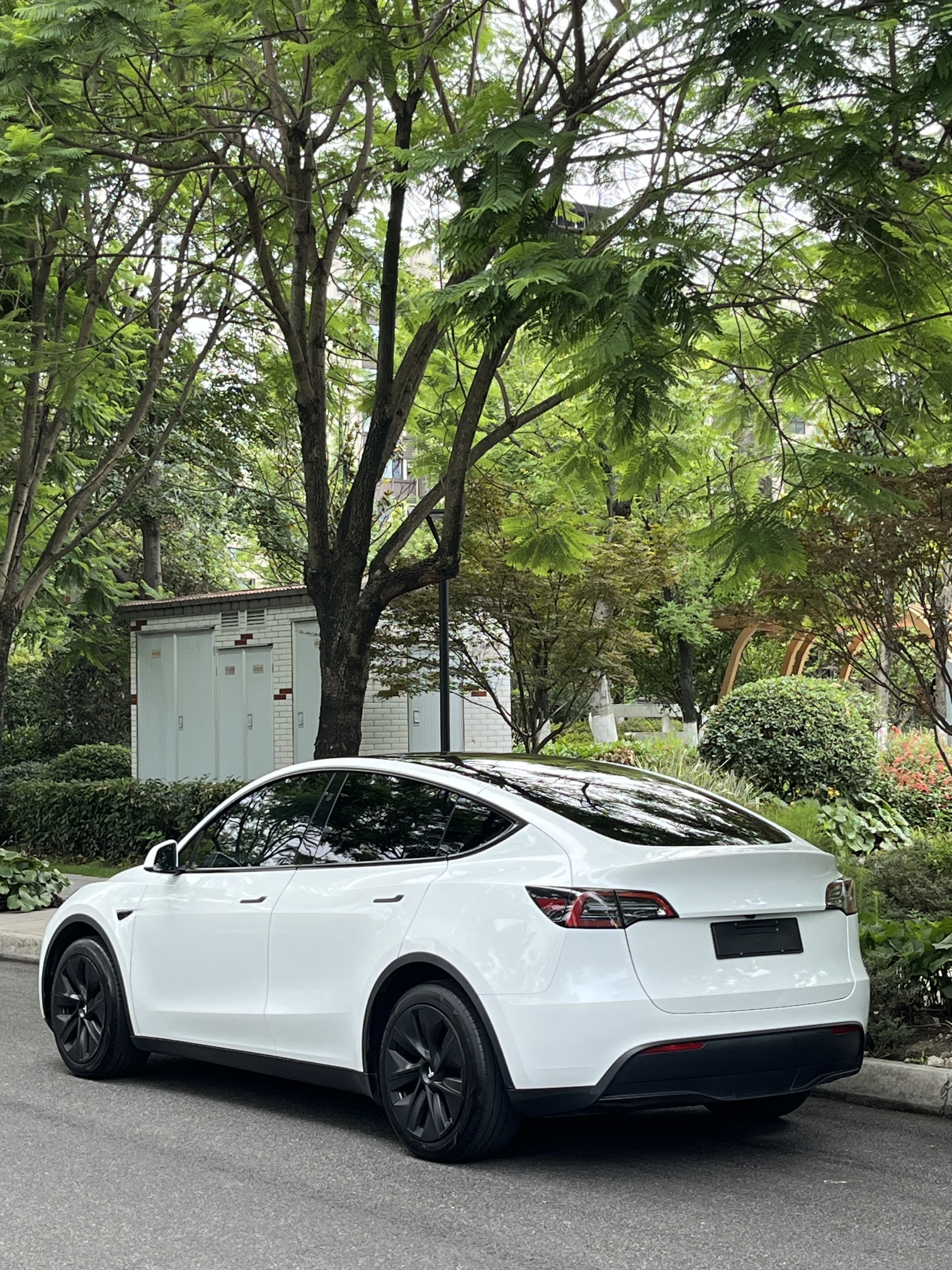 Tesla Model Y 2024 car image #5