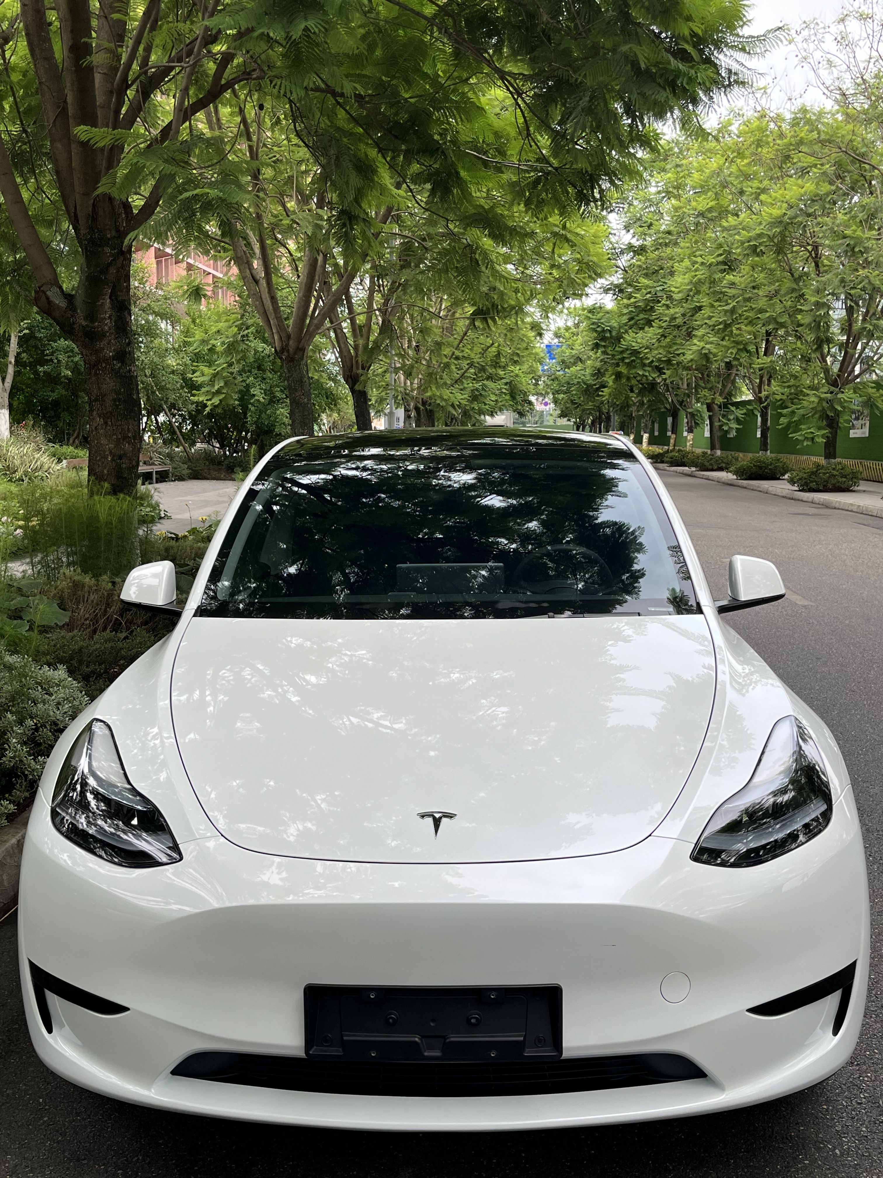 Tesla Model Y 2024 car image #4