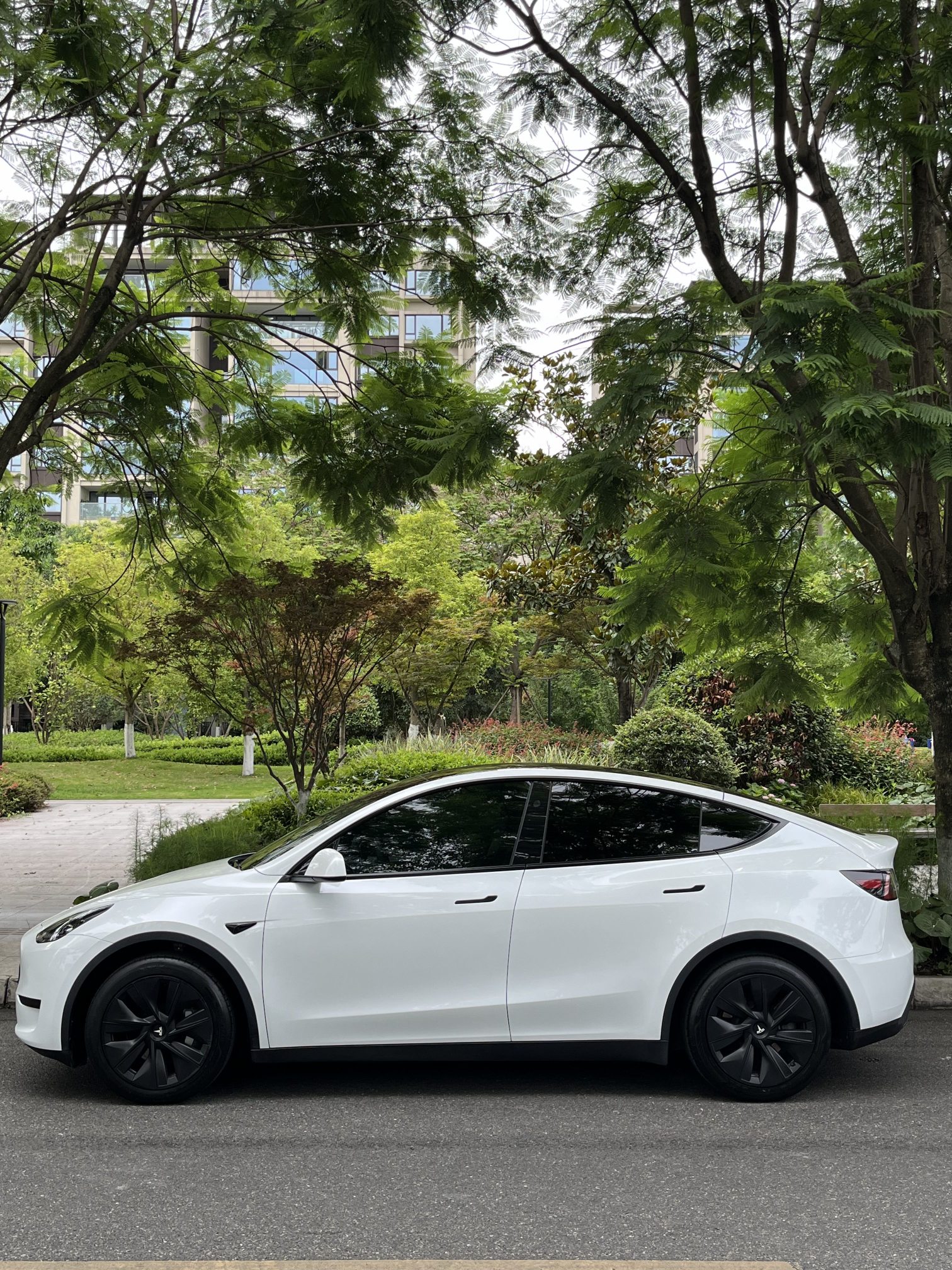 Tesla Model Y 2024 car image #7