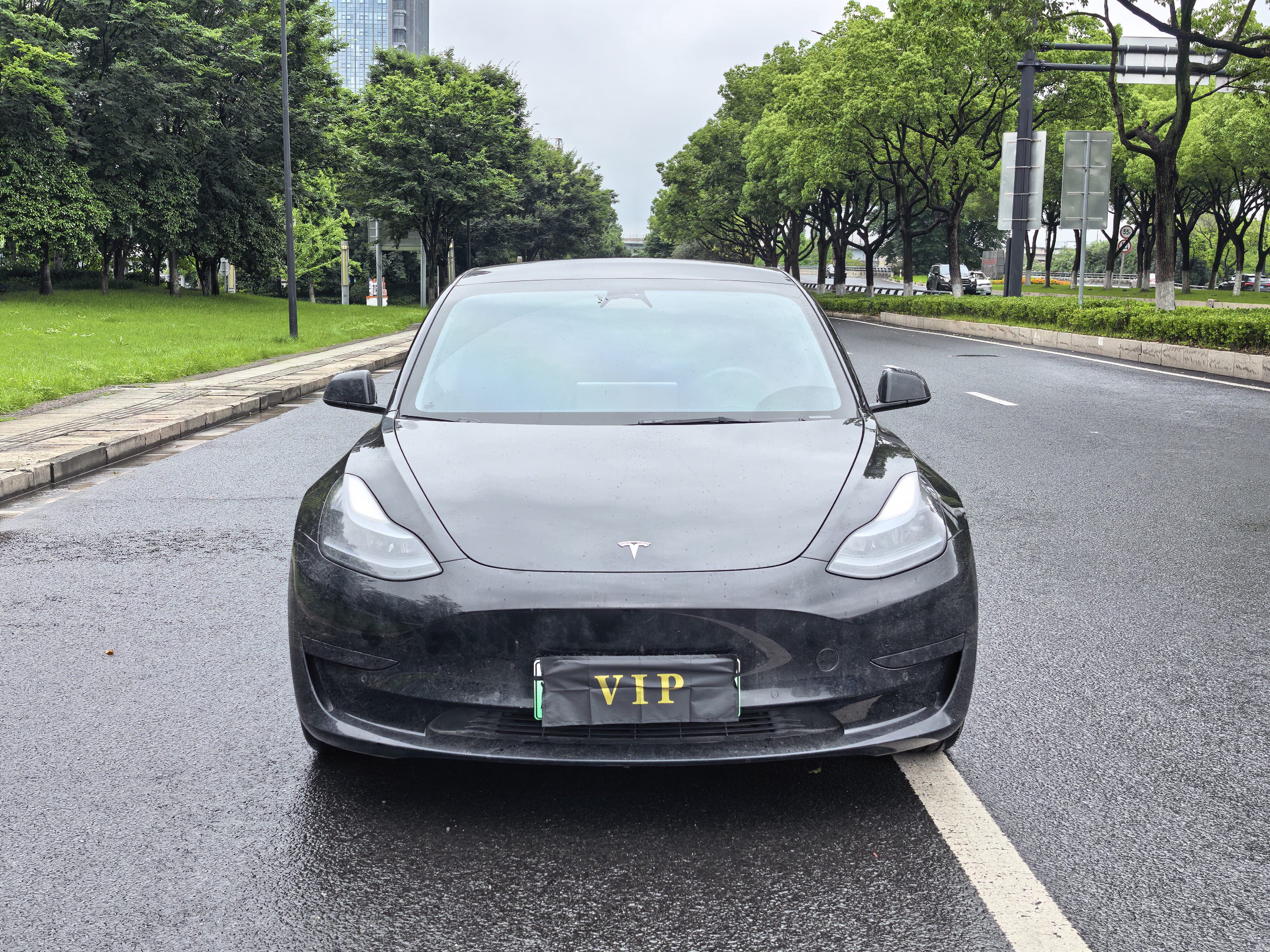 Tesla Model 3 2023 #3 Tesla Model 3 2023 car image #3