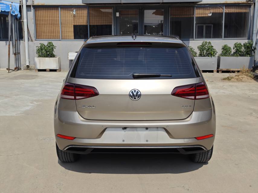 Volkswagen Golf 2019 car image #7