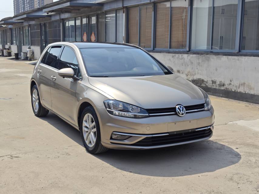 Volkswagen Golf 2019 car image #5