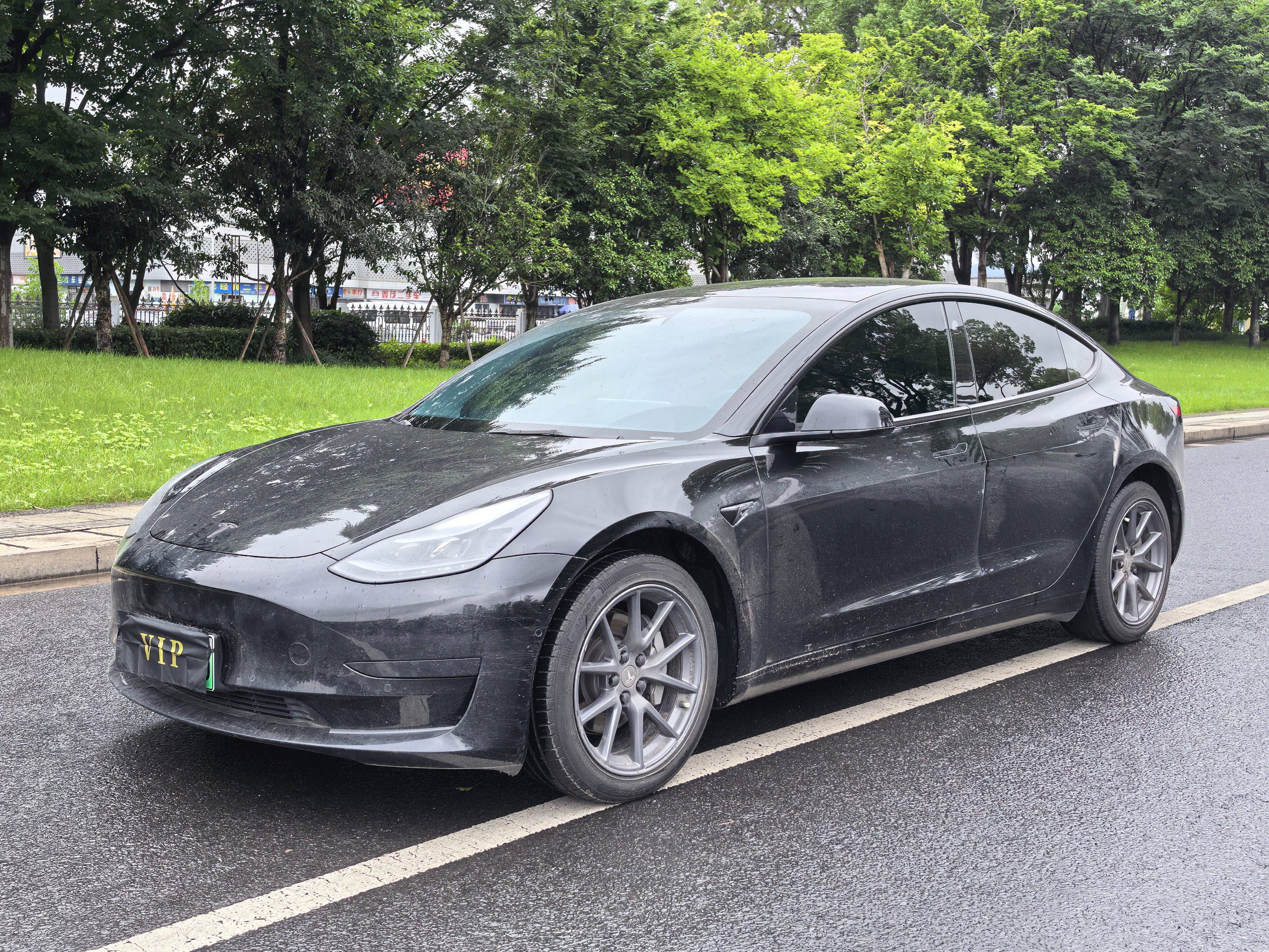 Tesla Model 3 2023 Tesla Model 3 2023 car image