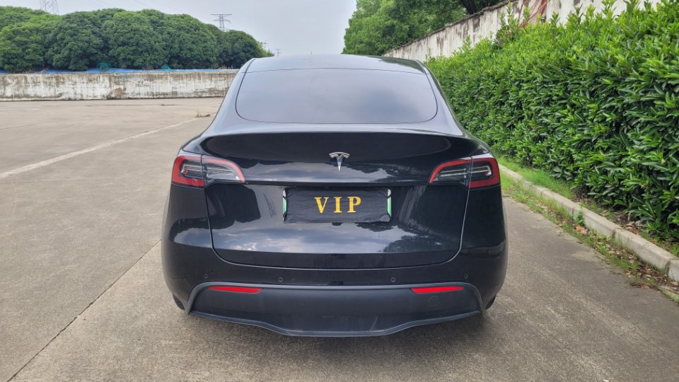 Tesla Model Y 2021 car image #19