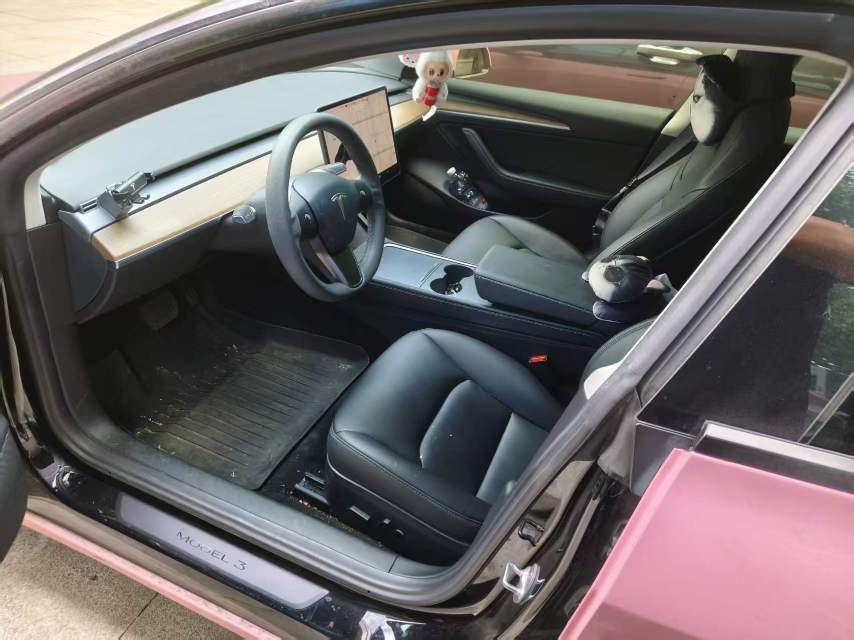 Tesla Model 3 2021 car image #4