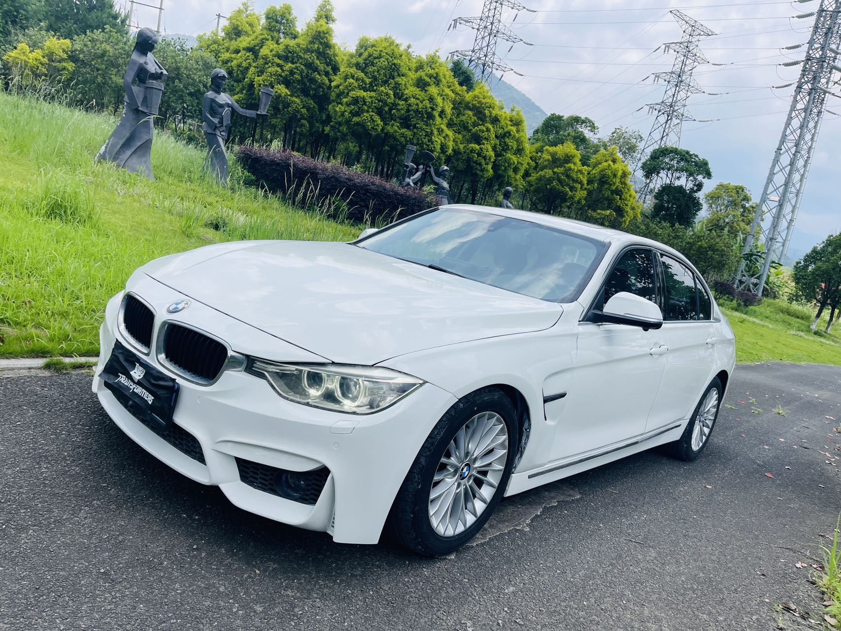 BMW 3 Series 2013 car image #2
