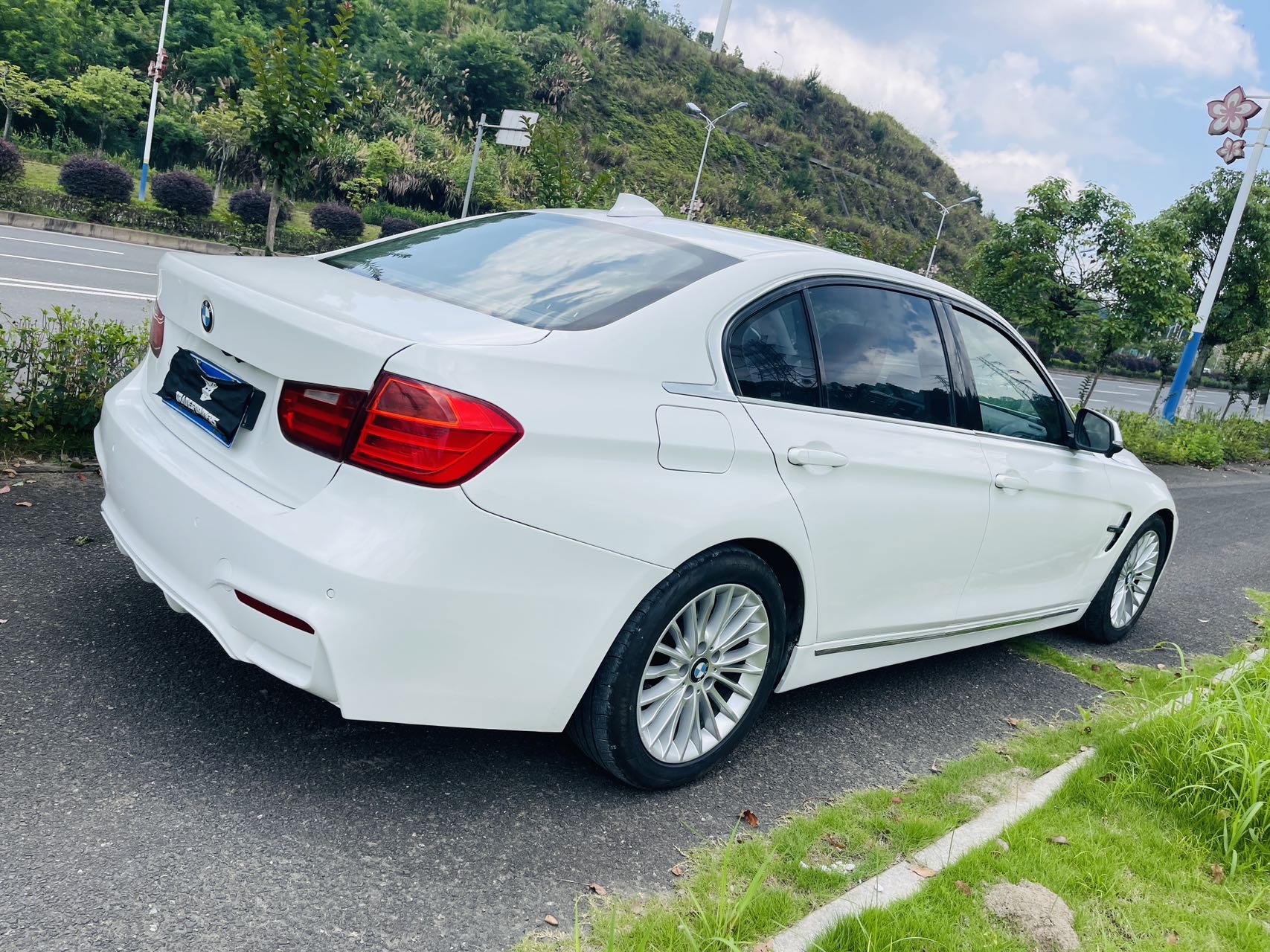 BMW 3 Series 2013 car image #9