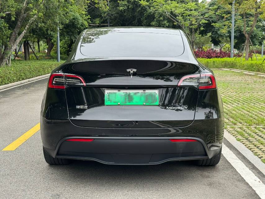 Tesla Model Y 2023 car image #10