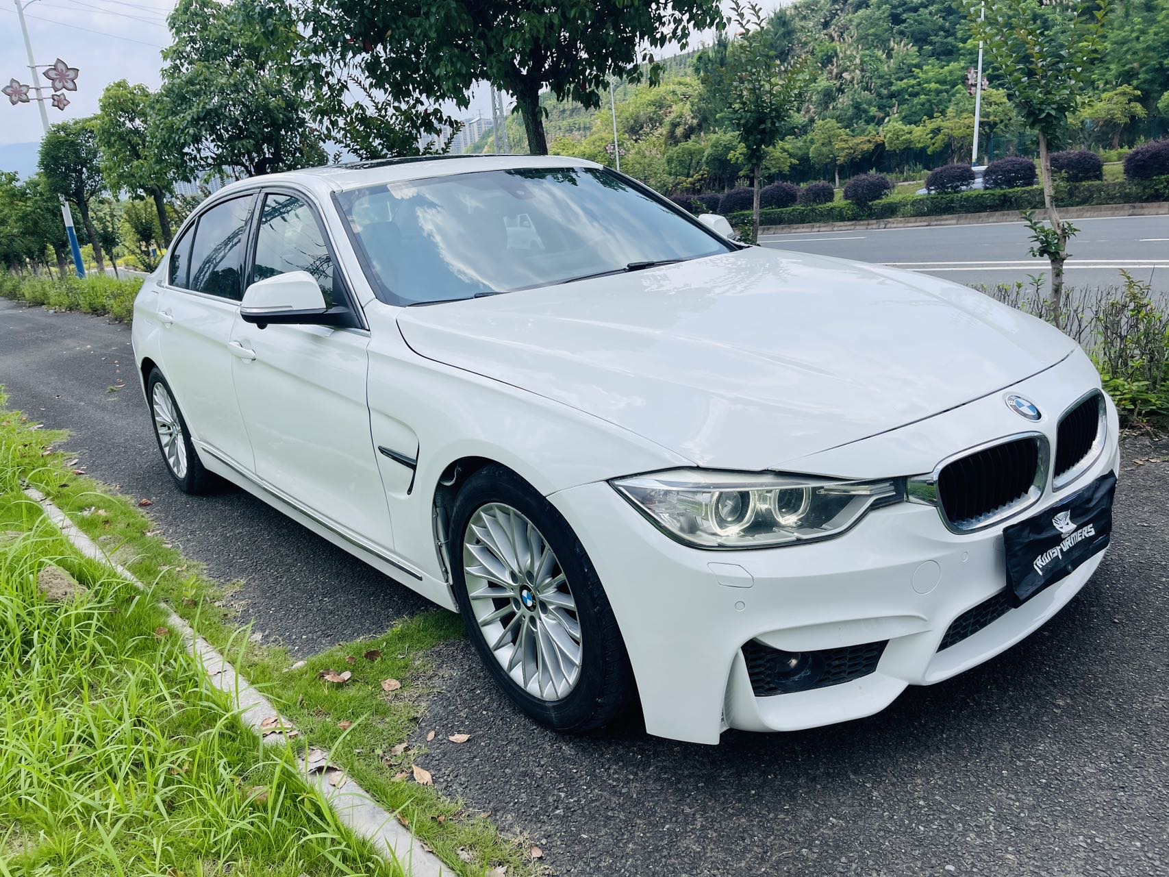 BMW 3 Series 2013 car image #5