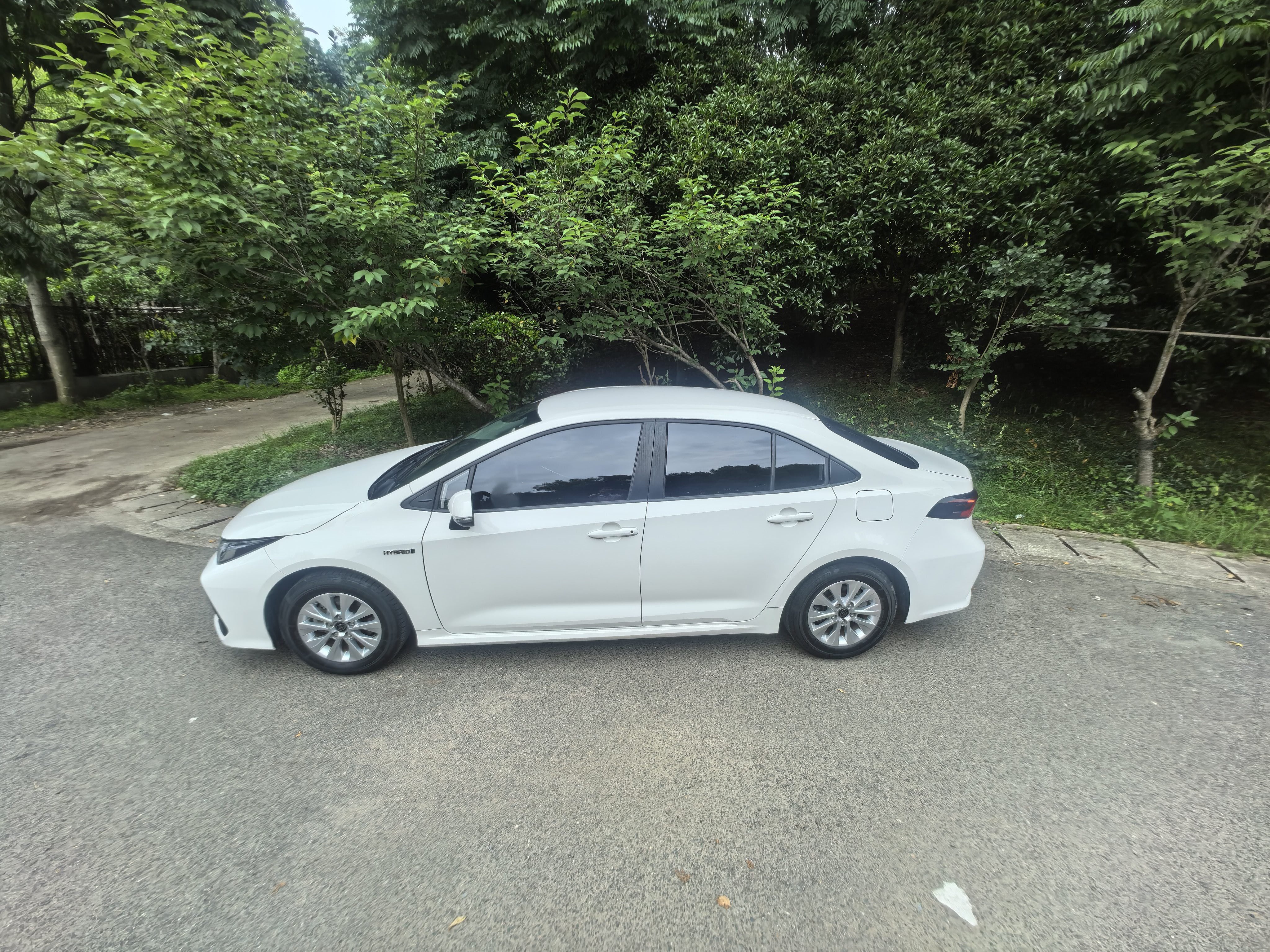 Toyota Corolla 2024 #5 Toyota Corolla 2024 car image #5