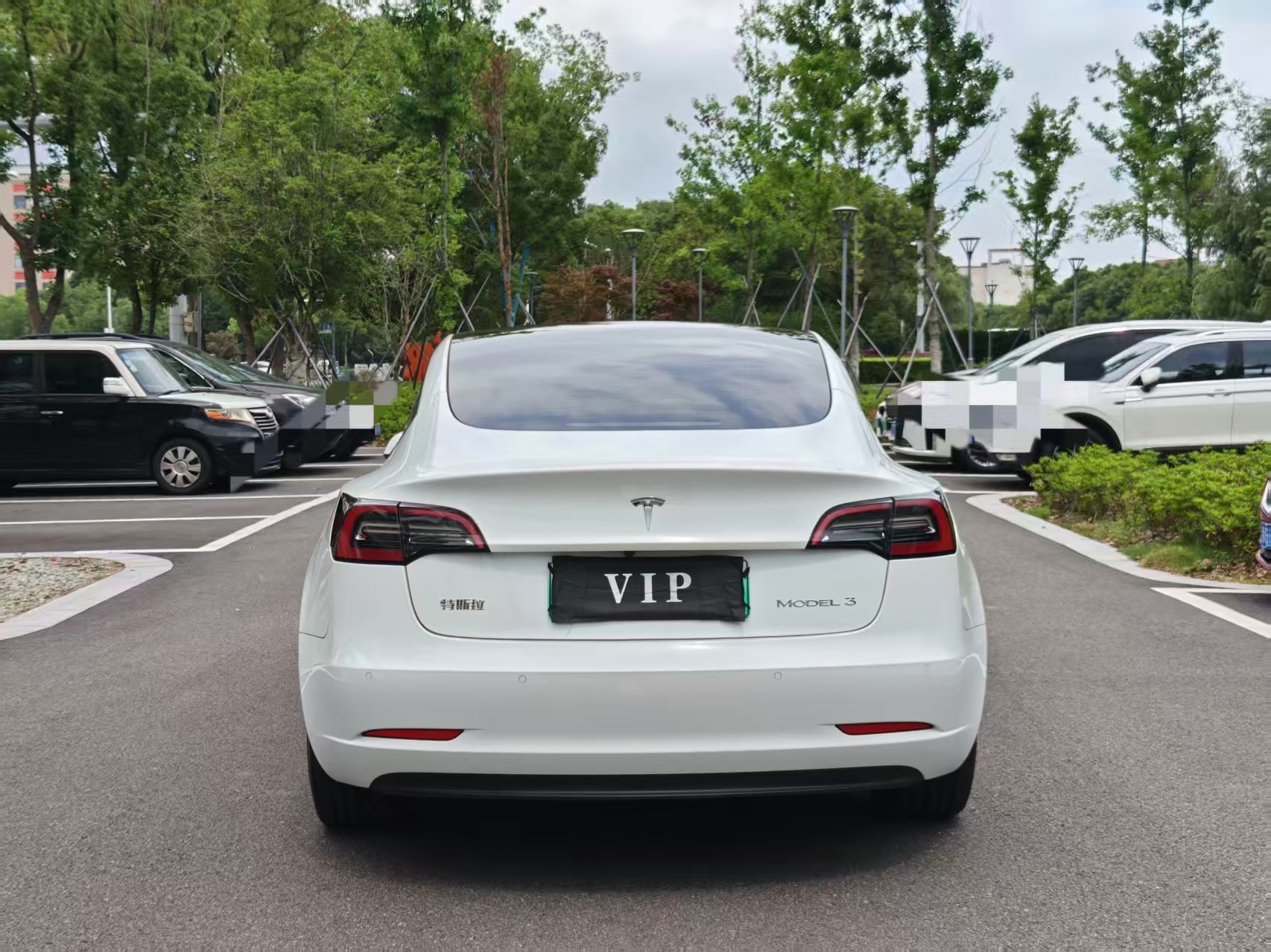Tesla Model 3 2022 car image #7
