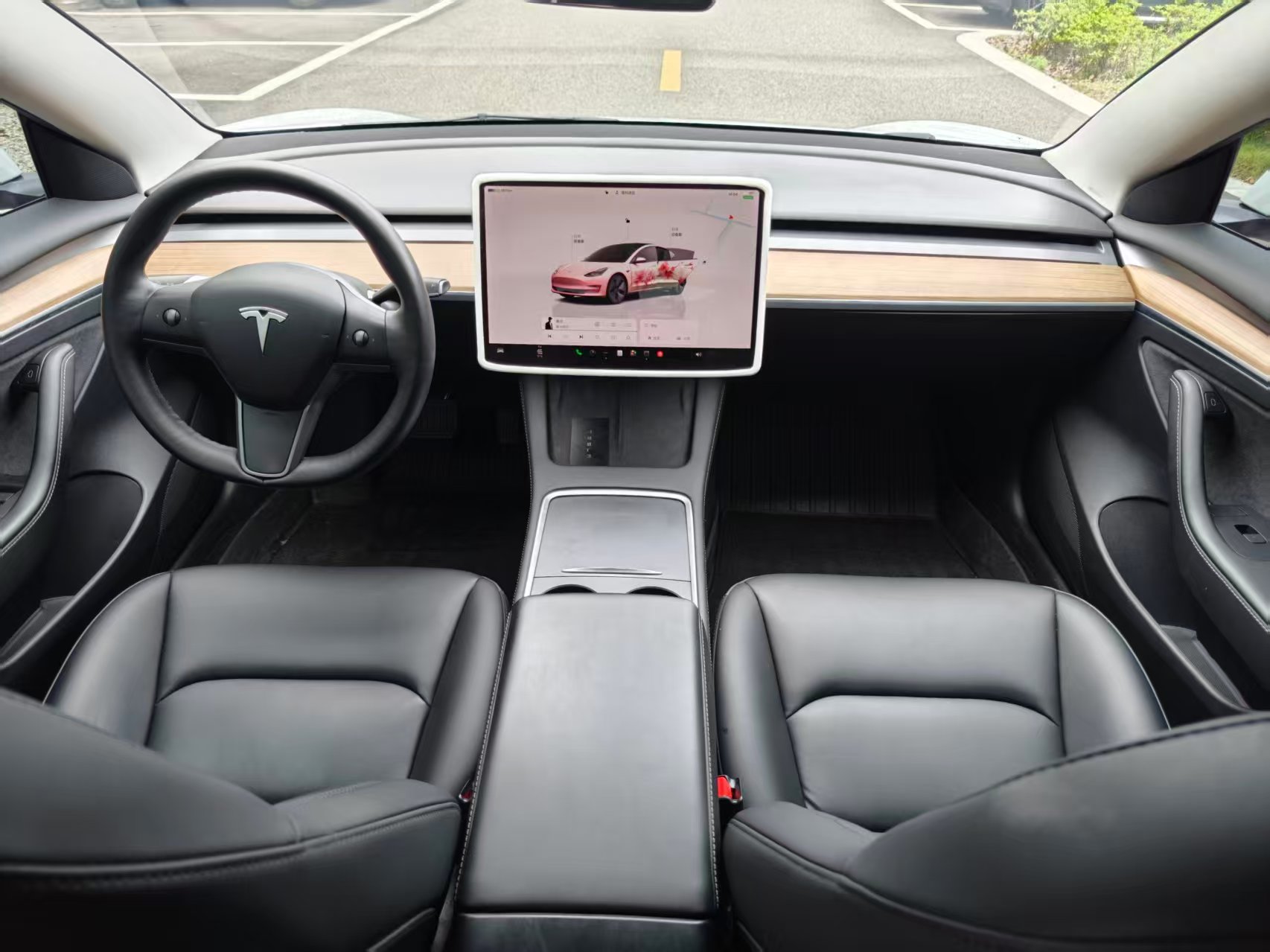 Tesla Model 3 2022 car image #12