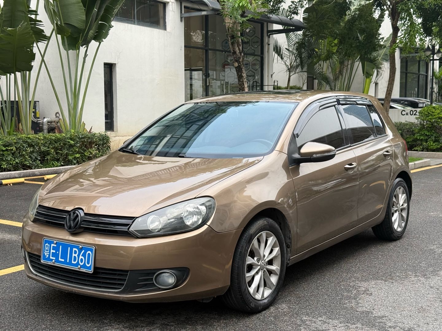 Volkswagen Golf 2013 Volkswagen Golf 2013 car image