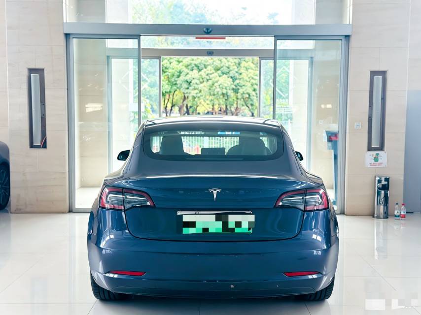 Tesla Model 3 (Imported) 2019 car image #7