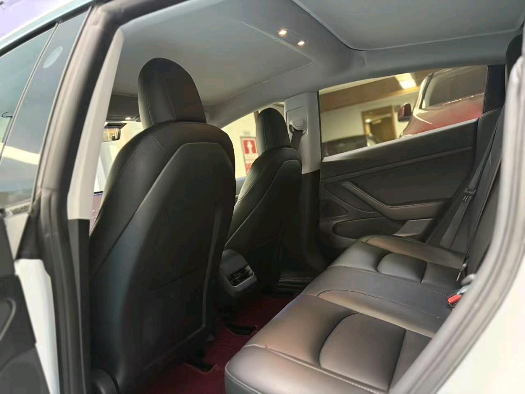 Tesla Model 3 2020 car image #10