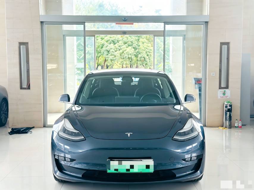 Tesla Model 3 (Imported) 2019 car image #5