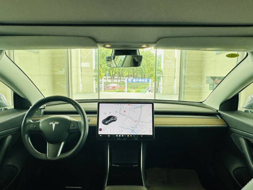 Tesla Model 3 (Imported) 2019 car image #11