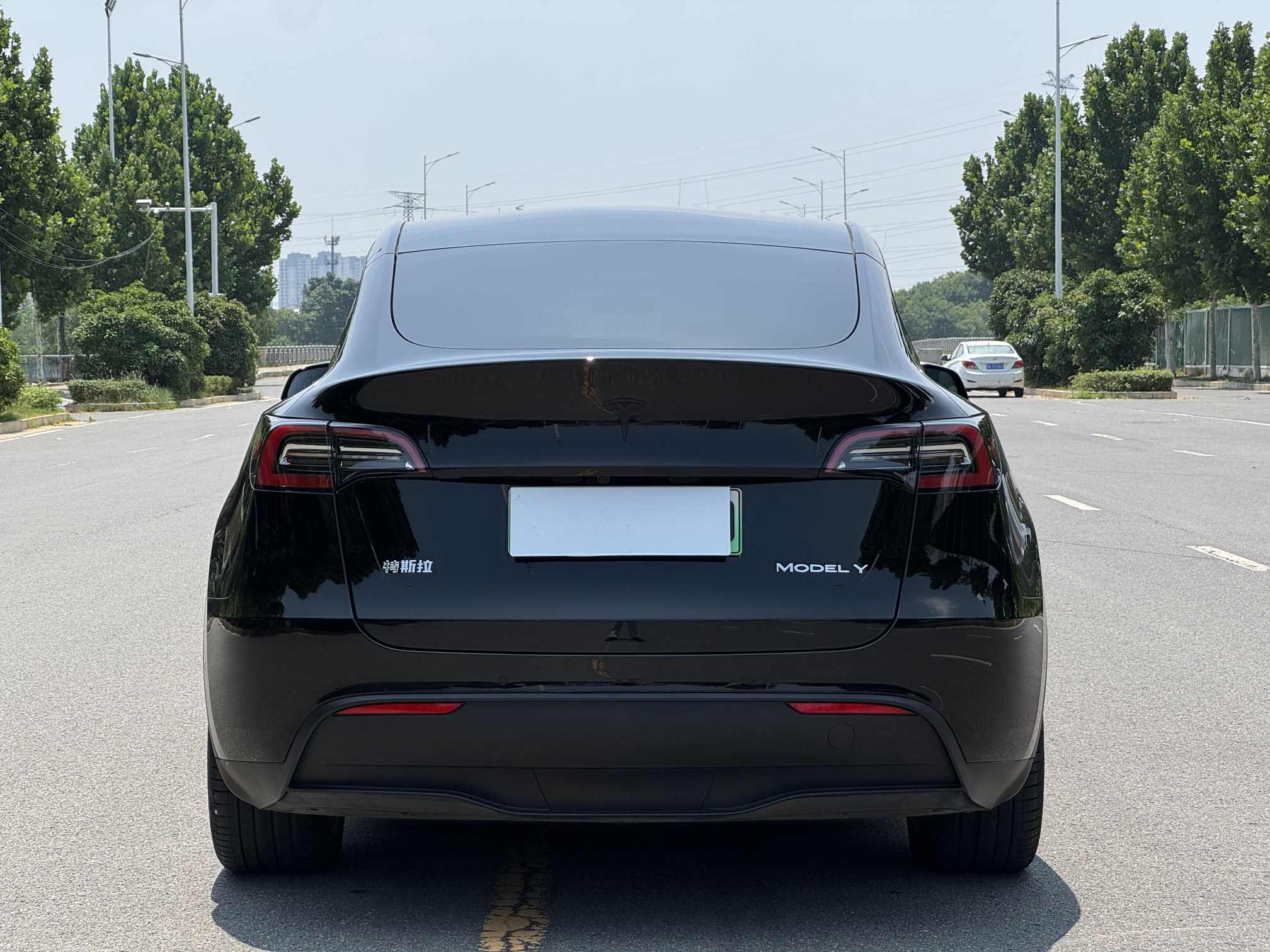 Tesla Model Y 2023 #10 Tesla Model Y 2023 car image #10