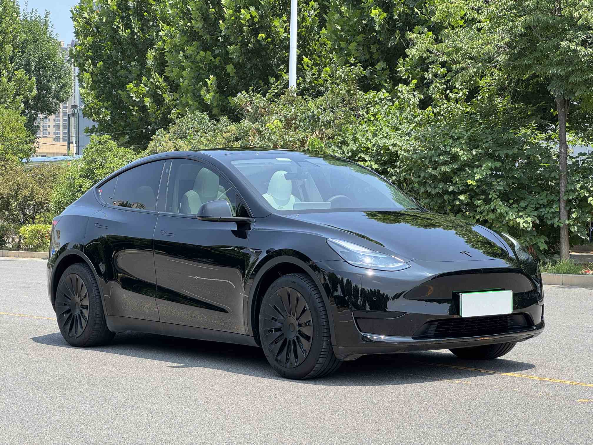 Tesla Model Y 2023 #5 Tesla Model Y 2023 car image #5