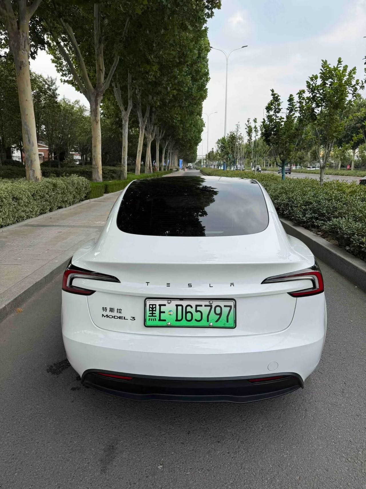 Tesla Model 3 2025 car image #9