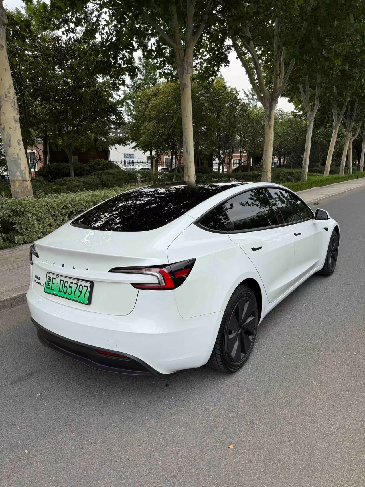Tesla Model 3 2025 car image #10