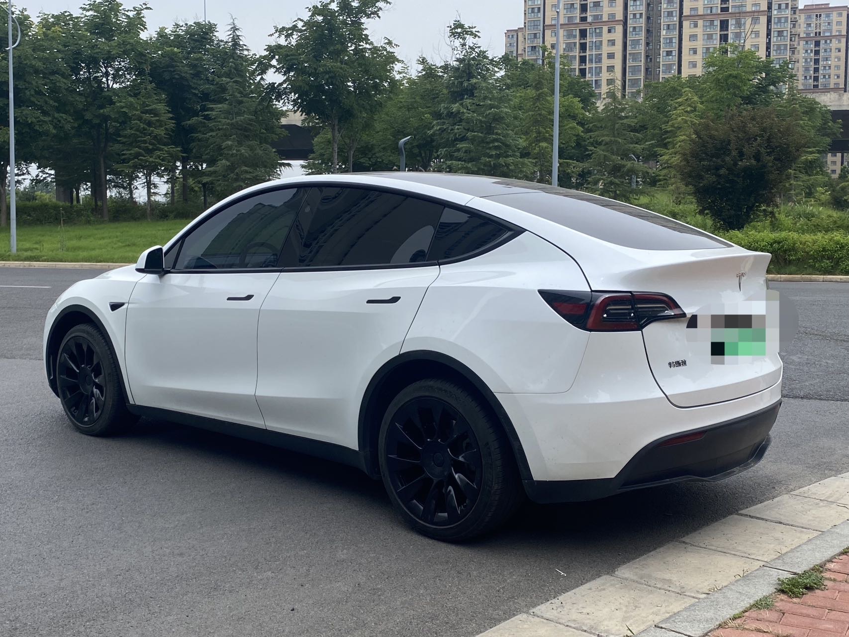 Tesla Model Y 2024 car image #8