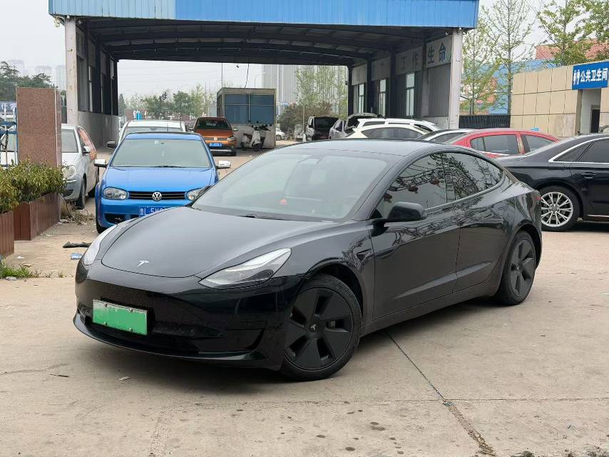 Tesla Model 3 2021 car image #8