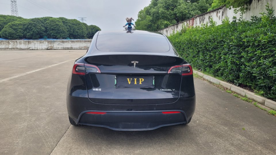 Tesla Model Y 2022 #13 Tesla Model Y 2022 car image #13